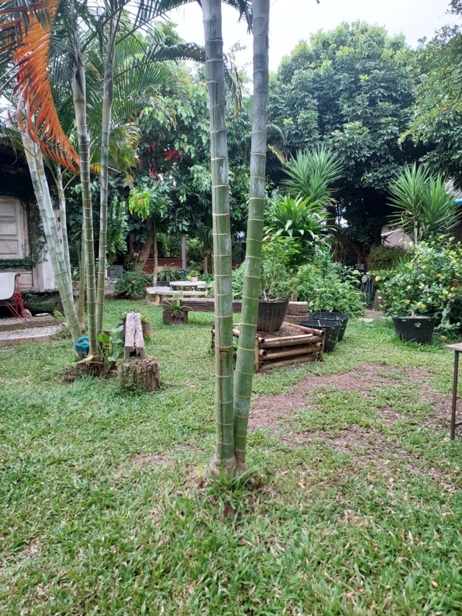 kwanlah homestay Mae Chaem Bagian luar foto