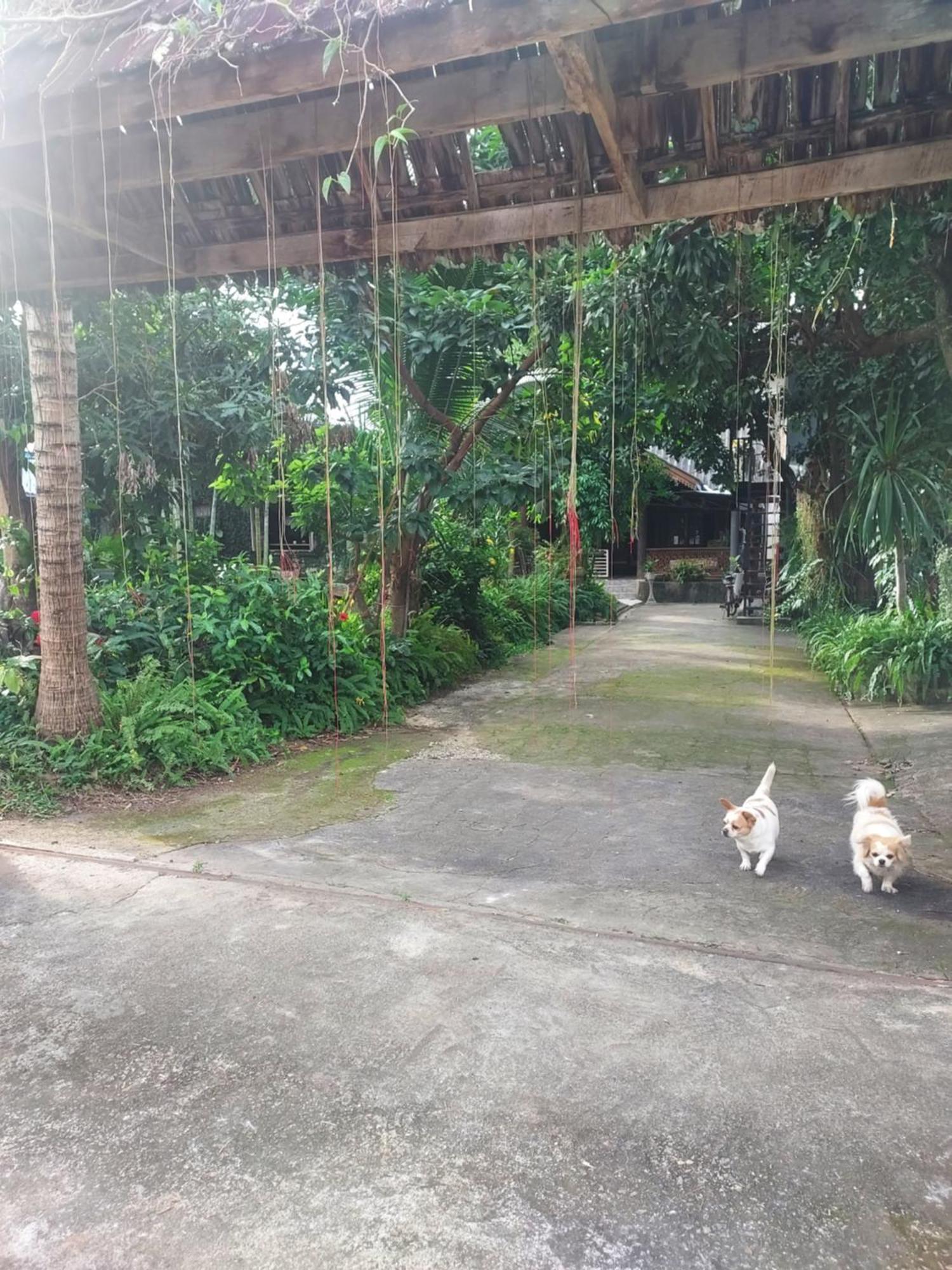 kwanlah homestay Mae Chaem Bagian luar foto